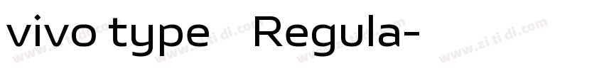 vivo type 简 Regula字体转换